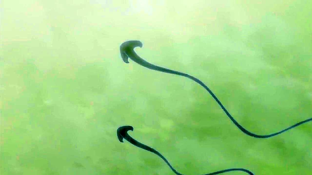 Cute AnimeGirl from Noragami Gets Seduced in Steamy Hentai Scene