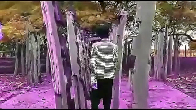 Lil Saad Takes On Multiple Girls for Steamy Anime Group Sex Adventure