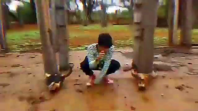 Lil Saad Takes On Multiple Girls for Steamy Anime Group Sex Adventure