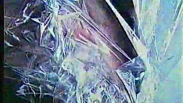 The Blue Girl – Anime Hentai Adventure Continues With Intimate Scenes