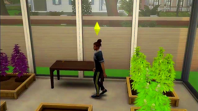 Blonde Sims 4 Porn Star Fucks Black Dude In Anime Style Sex Extravaganza