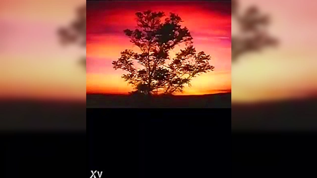 Saber Marionette Anime – Hot Hentai Action With Sword-Wielding Cutie