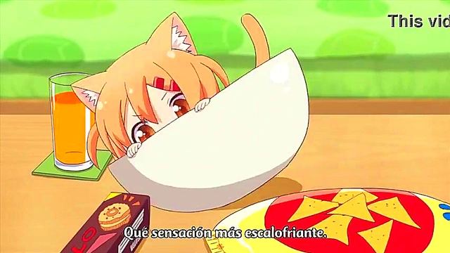 Nyanko Days – Anime Cat Girl Enjoying Intimate Moments With Her Lover