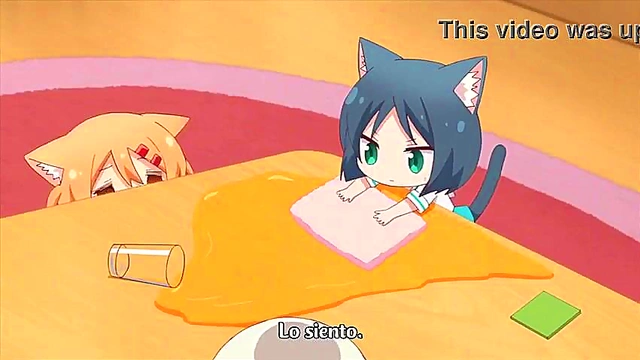 Nyanko Days – Anime Cat Girl Enjoying Intimate Moments With Her Lover