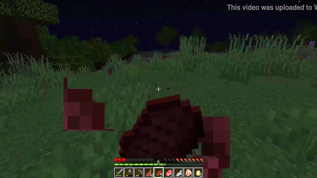 Casual Youtuber Streams Minecraft Anime Playthrough With Sexy Scenes