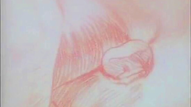 Possessed by Demon – Futanari Couple Engages in Uncensored Hentai Anime Action