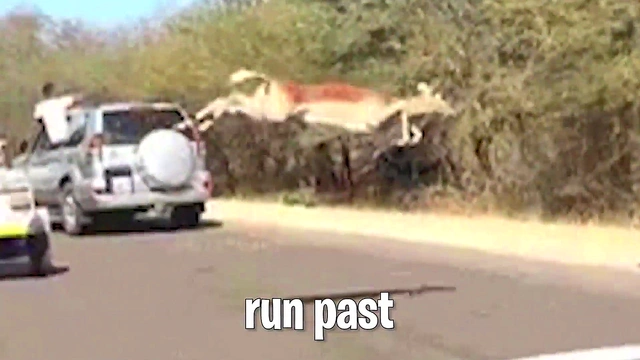 Naughty Nun Gets Seduced And Pleasured In The Promised Rosary Game