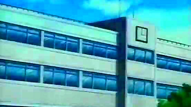 Hentai Anime Chickens Get Wild in Steamy Cartoon Action