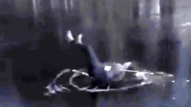 Heartbroken After Virtual FurGirl Breakup? Watch Her Space Boob Action Instead!