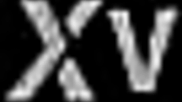 Horny Anime Chick Rides Dick In Luv Wave Vol.2