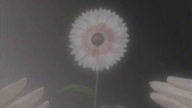 Cute Anime Teen Fucks Hard In Car With Titjob & Cowgirl Action