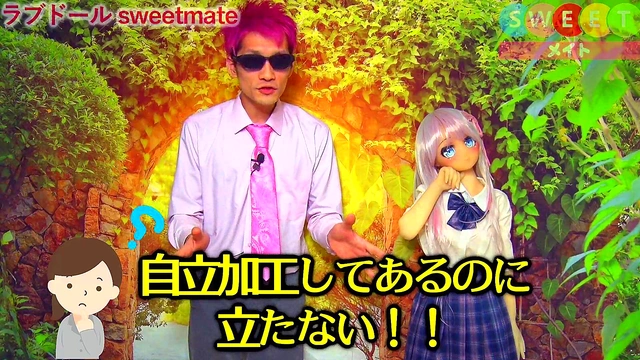 Beginner's Guide – Sweetmate Love Doll Pleasure in 3D Anime Japanese Style