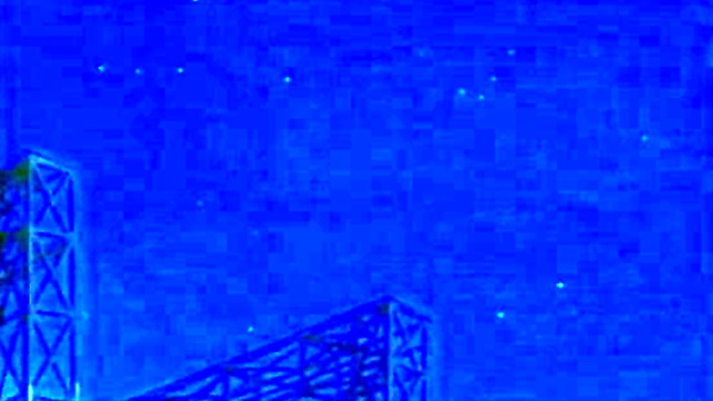 Hentai Anime Chickens Get Wild in Steamy Cartoon Adventure