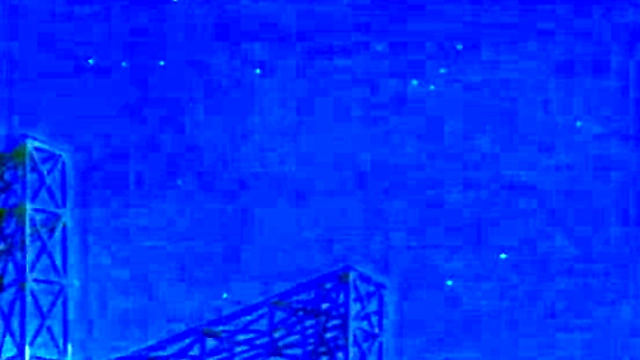 Hentai Anime Chickens Get Wild in Steamy Cartoon Adventure