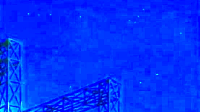 Hentai Anime Chickens Get Wild in Steamy Cartoon Adventure