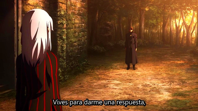 Heaven's Feel Fate Anime – Sexy Couple Engage in Passionate HDMI Action