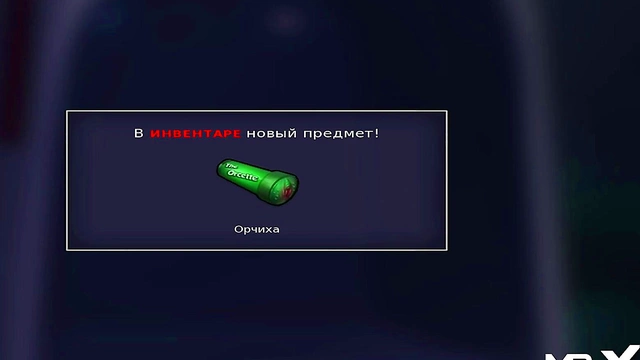 Teen Anime Chick Gets Wild in Summertime Saga – Intense Hentai Adventure