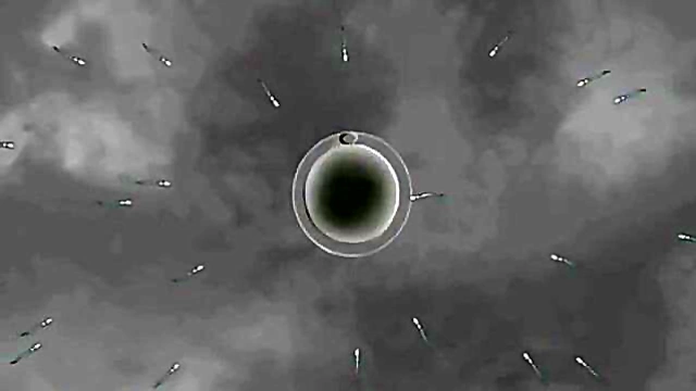 Rikka Gets Impregnated By Older Man In SSSS.Gridman Hentai Scene