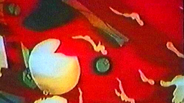 Evangelion Anime Girl Seduces With Hot Hentai Action