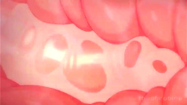 Horny Femboy Shun Gets Cocksucked & Fucked Raw for Juicy Cumshot Delight