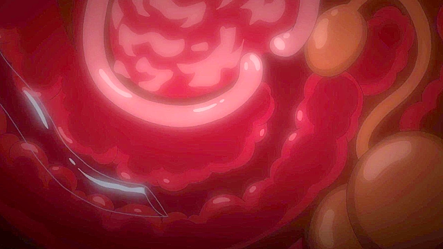 Sleepless: A Midsummer Night’s Dream 2 - Seriously gross femdom torturing hentai