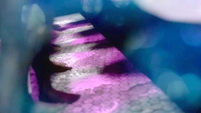 Taimanin Asagi 4: Banquet - Ninja girls get used like human toilets