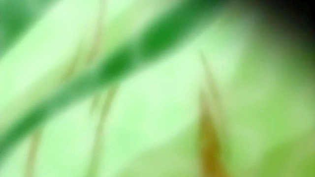 Body Wash 2 - Dungeon slave is fucked with anal beads up her asshole