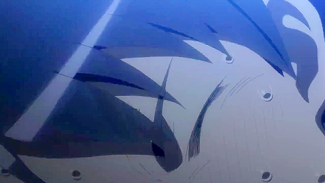 Dude gets sick and his harem hoes use their boobies to make him better