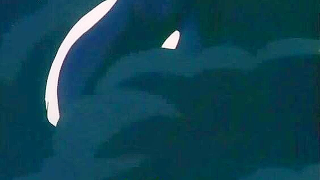 Demonic tentacles beast uses his fuck slaves to battle the good guy