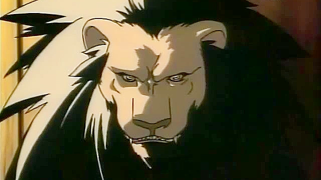 Elf warriors fight demons that are fucking elves and catgirls pussies