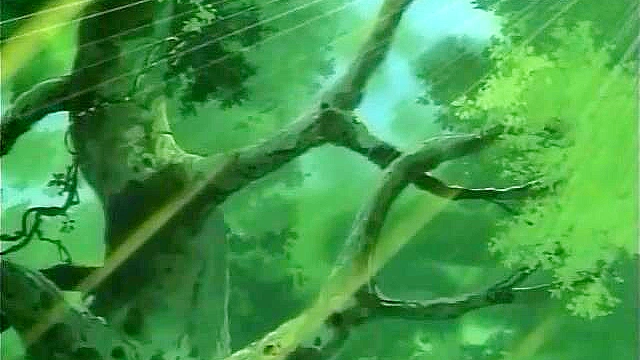 Elf warriors fight demons that are fucking elves and catgirls pussies