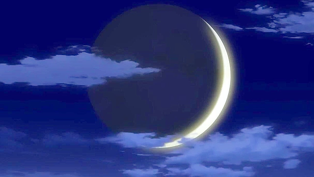 Redo of Healer 5 - Furry wolf girl banged from the back while licked in the front