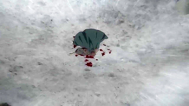 Redo of Healer 11 - Hentai lesbian is made to fuck horny zombies