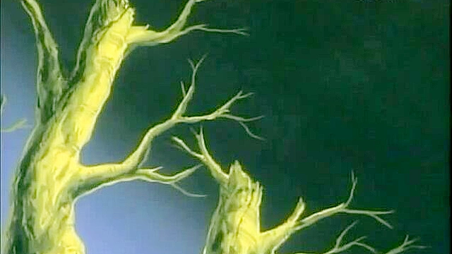 Horny elf turns girl in to futa babe and rides her meaty cock missile