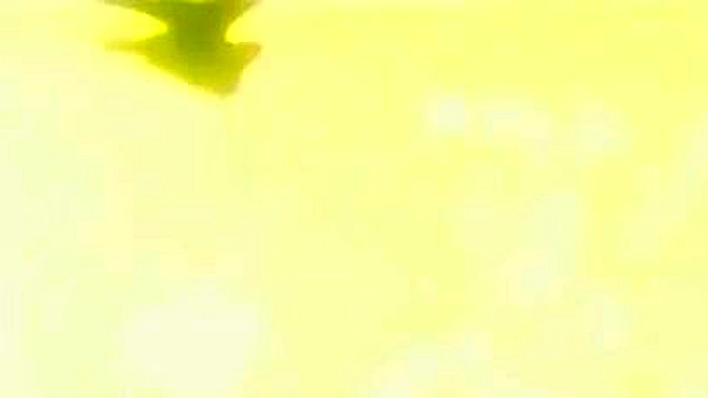 Lunatic Night 3 - Hentai lesbian warriors do battle in huge pussy licking orgy