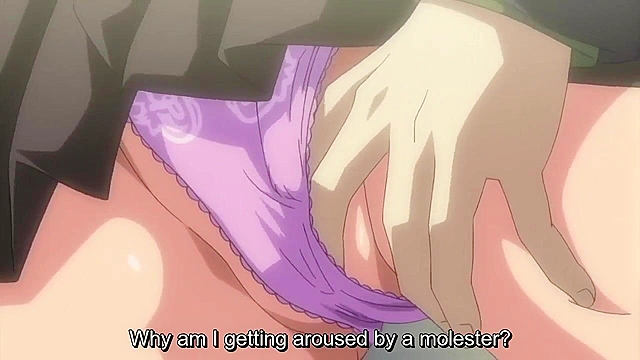 Last Molester Train NEXT 1 - Hentai sluts get gangbanged on public sex train by perverts