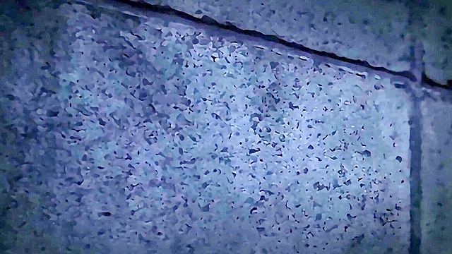 Reason I Fuck My Niece 3 - Hentai schoolgirl is fucked by police officer with baton