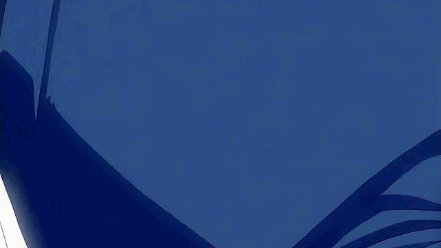 Hentai Action, Spicy Fetish Uncensored with Subs!