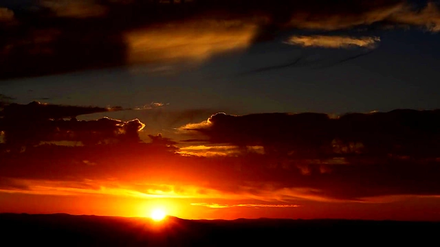 Sexy Anime Catgirl Parties Hard Riding Big Dick for Anal Orgasm Feast