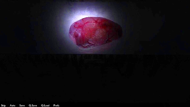 Nakano Quints Take Their Friend's Dick Deep for Hot Anime Fuck Fest