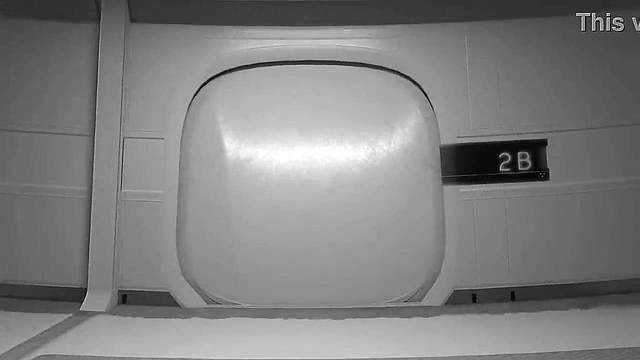 Naughty Sims 4 Machinima Ginny’s 3D Hentai Sex Saga