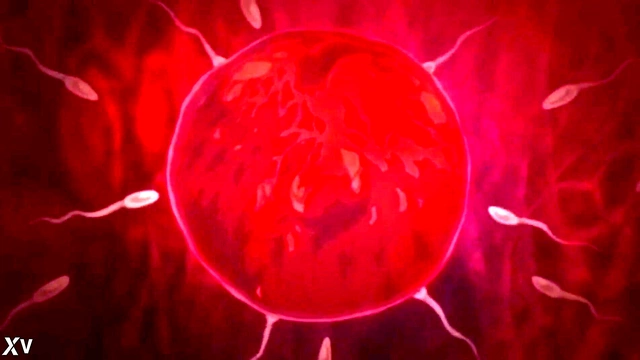 Big-Tit Anime Babe Gets Fucked Hard for Juicy Cumshots & Anal Fun