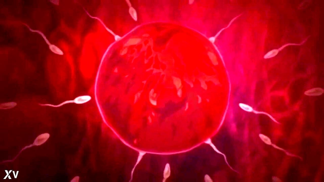 Big-Tit Anime Babe Gets Fucked Hard for Juicy Cumshots & Anal Fun