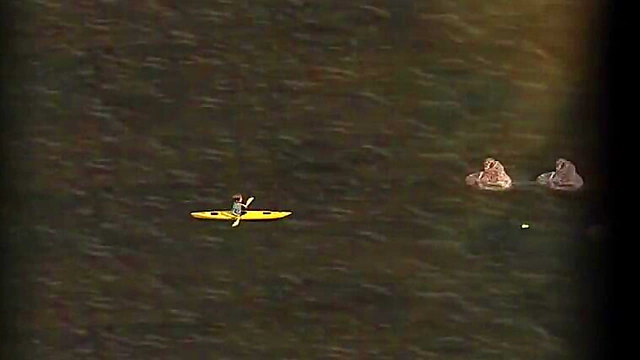 Bareback Trans Ladyboys Hot Anal Missionary Sex With Busty Curves