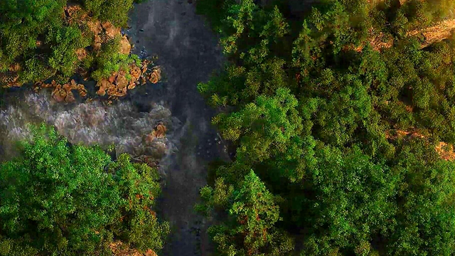 Horny Anime Babe Loses Her Virginity in Wild, Hardcore Fuck with Muscular Stud