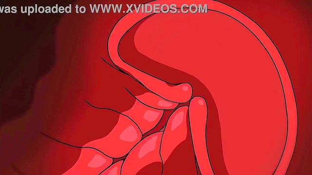 Nami Hunts Forbidden Treasure in Steamy Pirate Parody Adventure