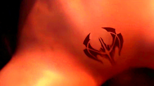 3D Compilation – League of Legends Ashe Vi Kda Evelynn Akali Doggystyle Uncensored Hentai