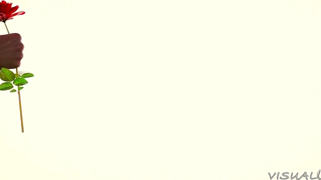 Overwatch Mercy Beauty Queen Romantic Sex (Visualoos)