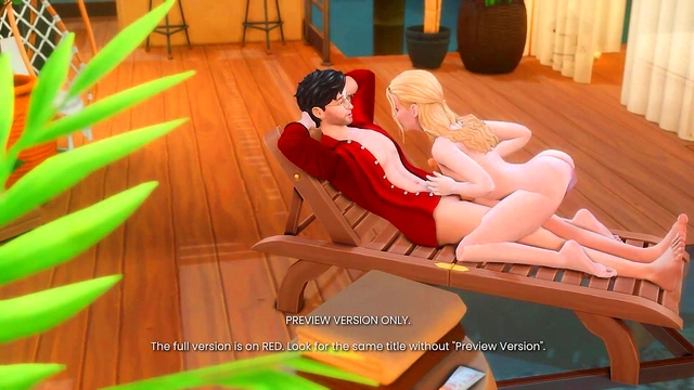 HP AU 9 The Honeymoon - 3d Hentai - Preview Version