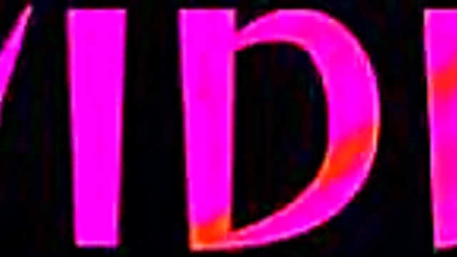 Special Room Service for Big Boss - Anal,Squirting,Creampie (3D Sex Anime, 60 Fps)